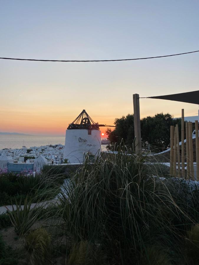 The View Of Mykonos Апартаменты Mykonos Town