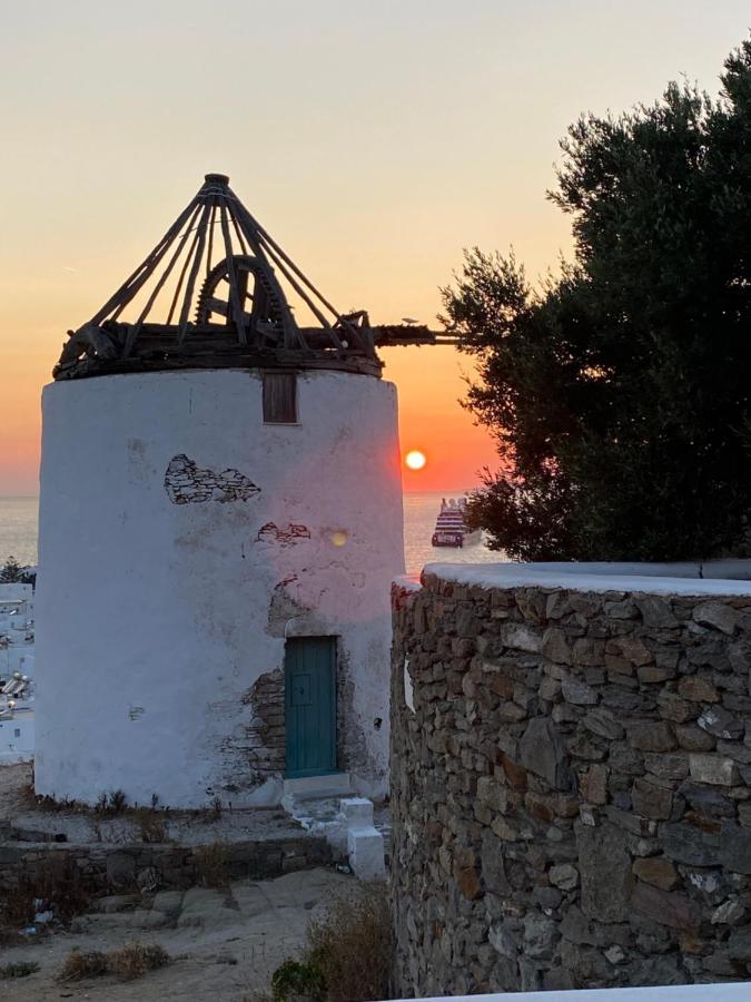 The View Of Mykonos Апартаменты Mykonos Town